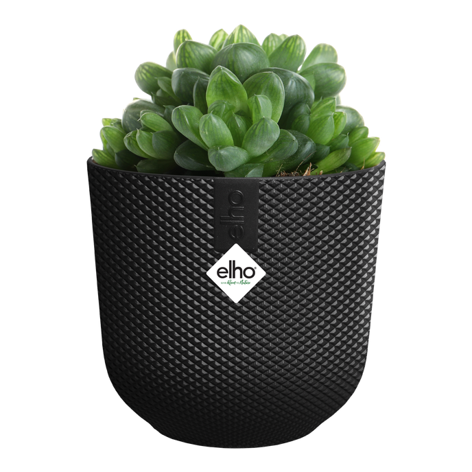 jazz rond mini 9cm living noir